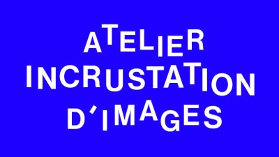 En lien avec "Mille secrets de poussins"