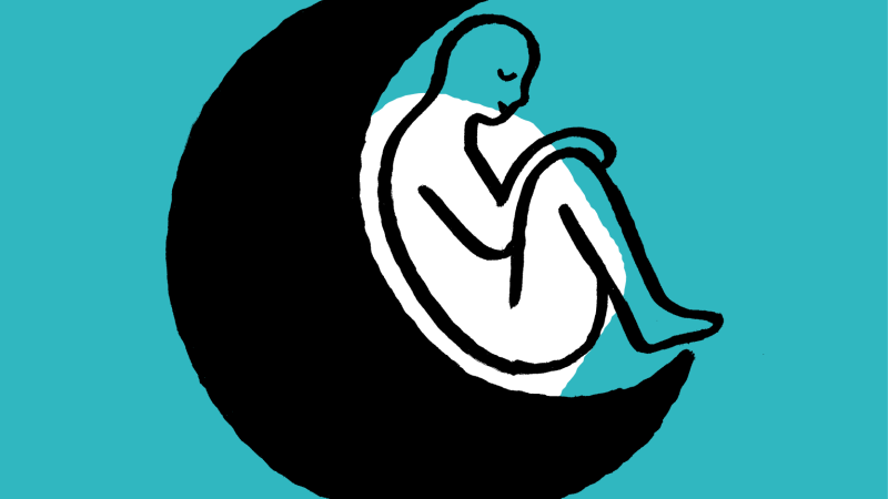 Des nuits pour voir le jOur