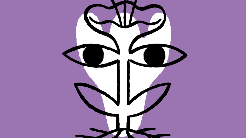 Sihr