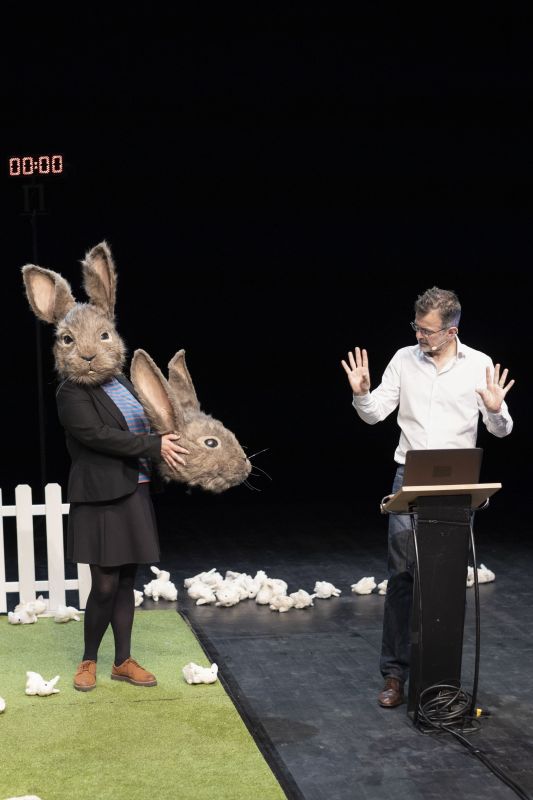 Le problème lapin